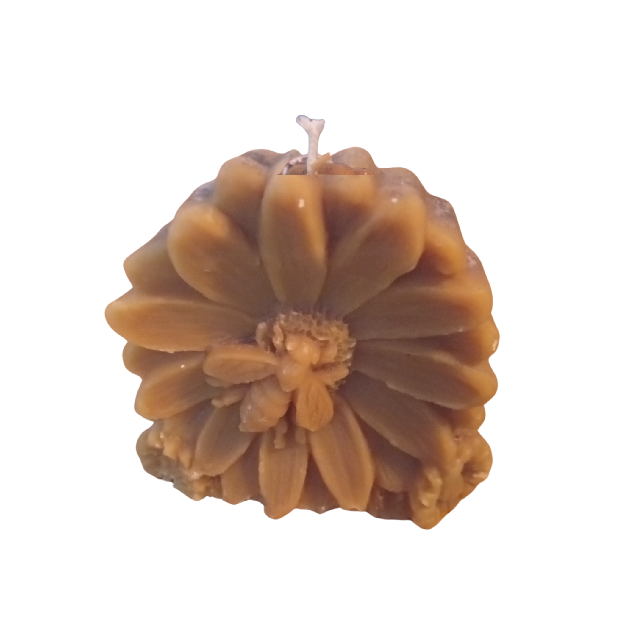 Svijeće od pčelinjeg voska - oblik cvijeta