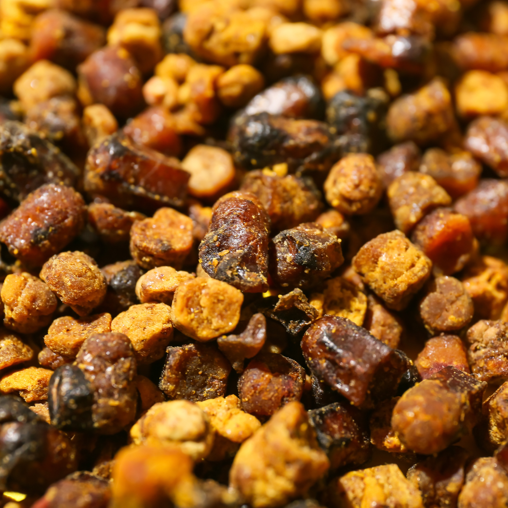 Pčelinji kruh / Perga