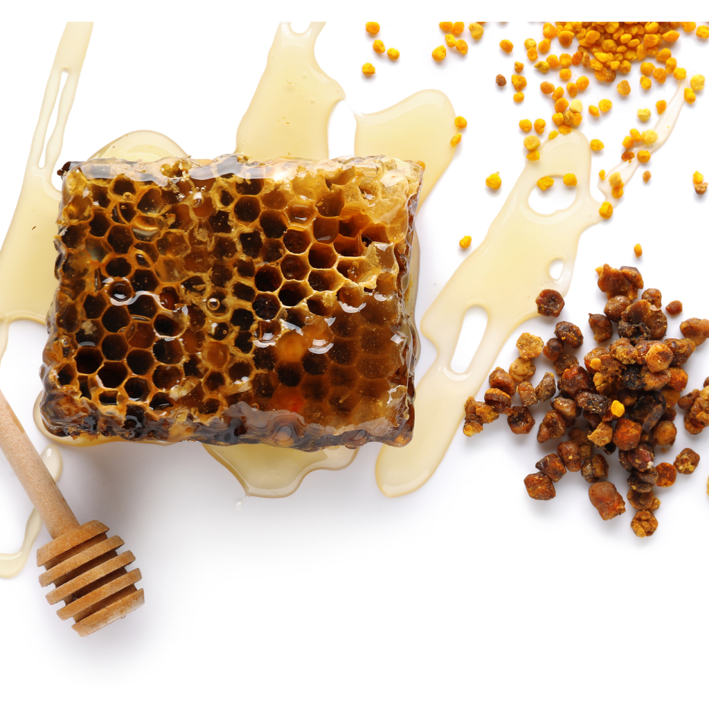 Pčelinji kruh / Perga