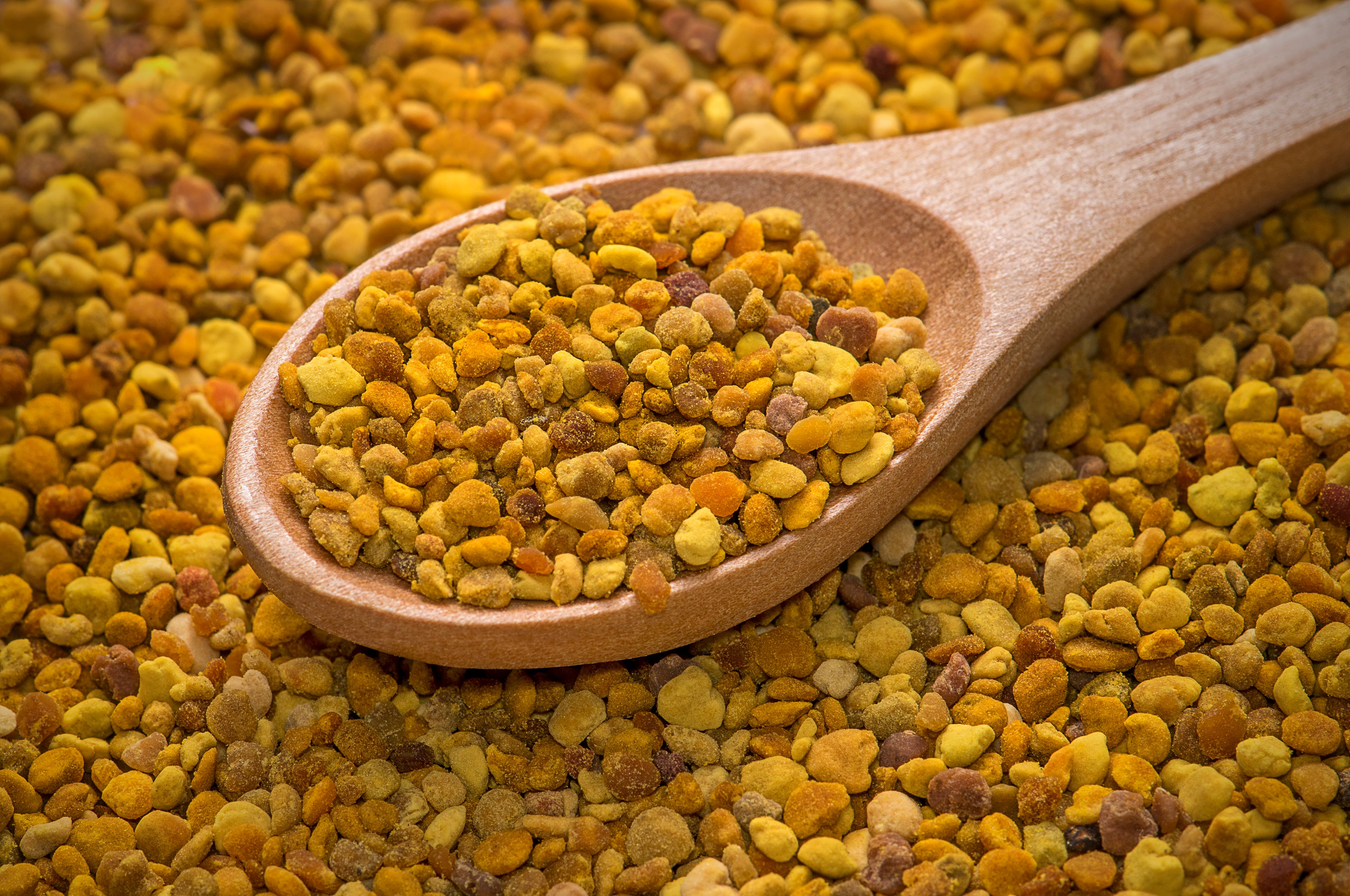 Košnica za najam - Korisnikova košnica / Kupi košnicu / Usvoji košnicu