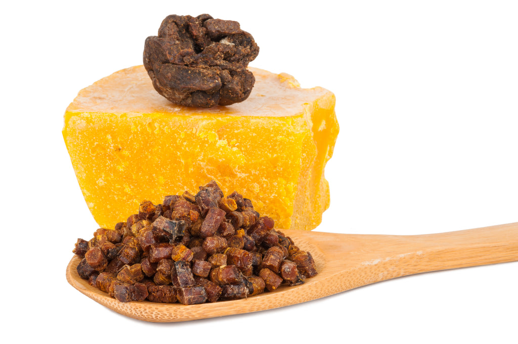 Košnica za najam - Pčelareva košnica / Kupi košnicu / Usvoji košnicu